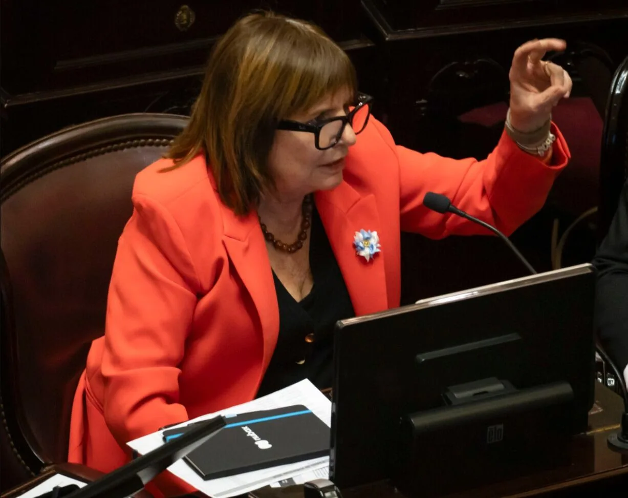 Patricia Bullrich hablando en conferencia de prensa con bandera argentina de fondo