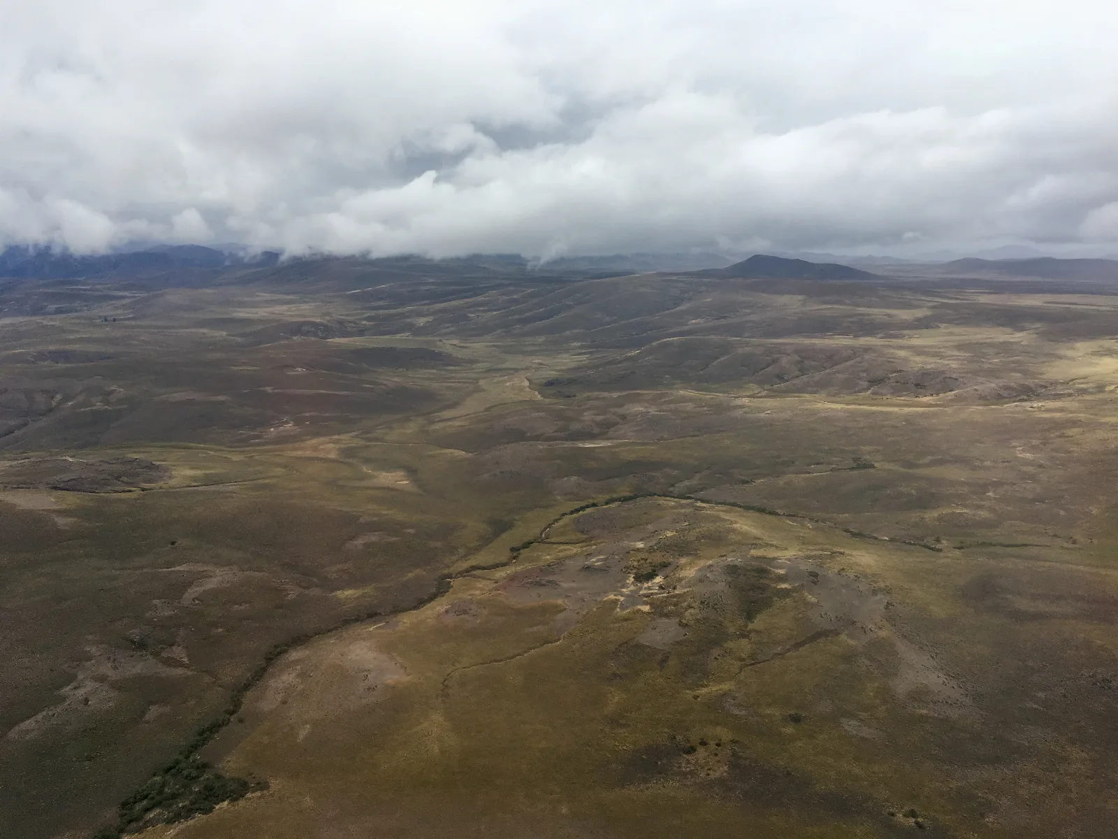 Buscan voluntarios en la Patagonia: ofrecen hospedaje, comidas y transporte por menos de 20 horas semanales