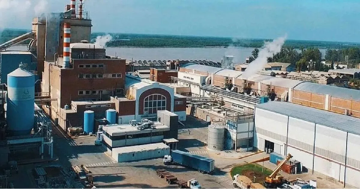 Celulosa Argentina sigue en rojo pese al salvataje de Esteban Nofal: pérdidas por más de $127.000 millones