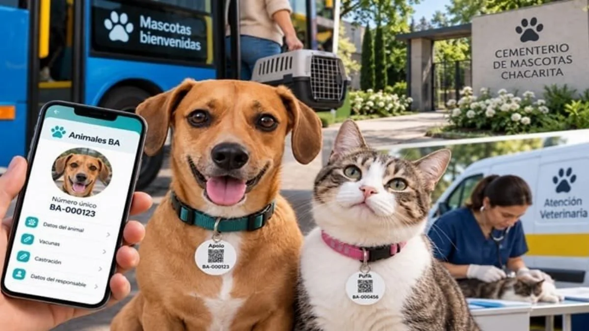 Identificación única para perros y gatos: el proyecto de ley que impulsa la Ciudad