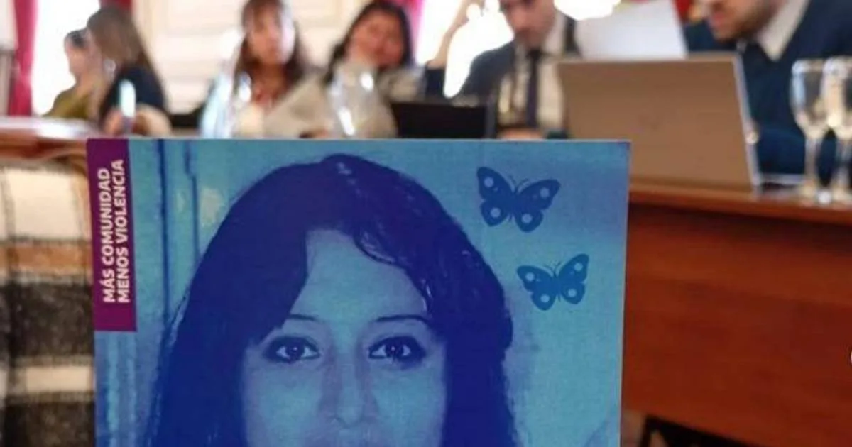 Johana Ramallo: la querella exigió identificar a los policías denunciados por amenazas