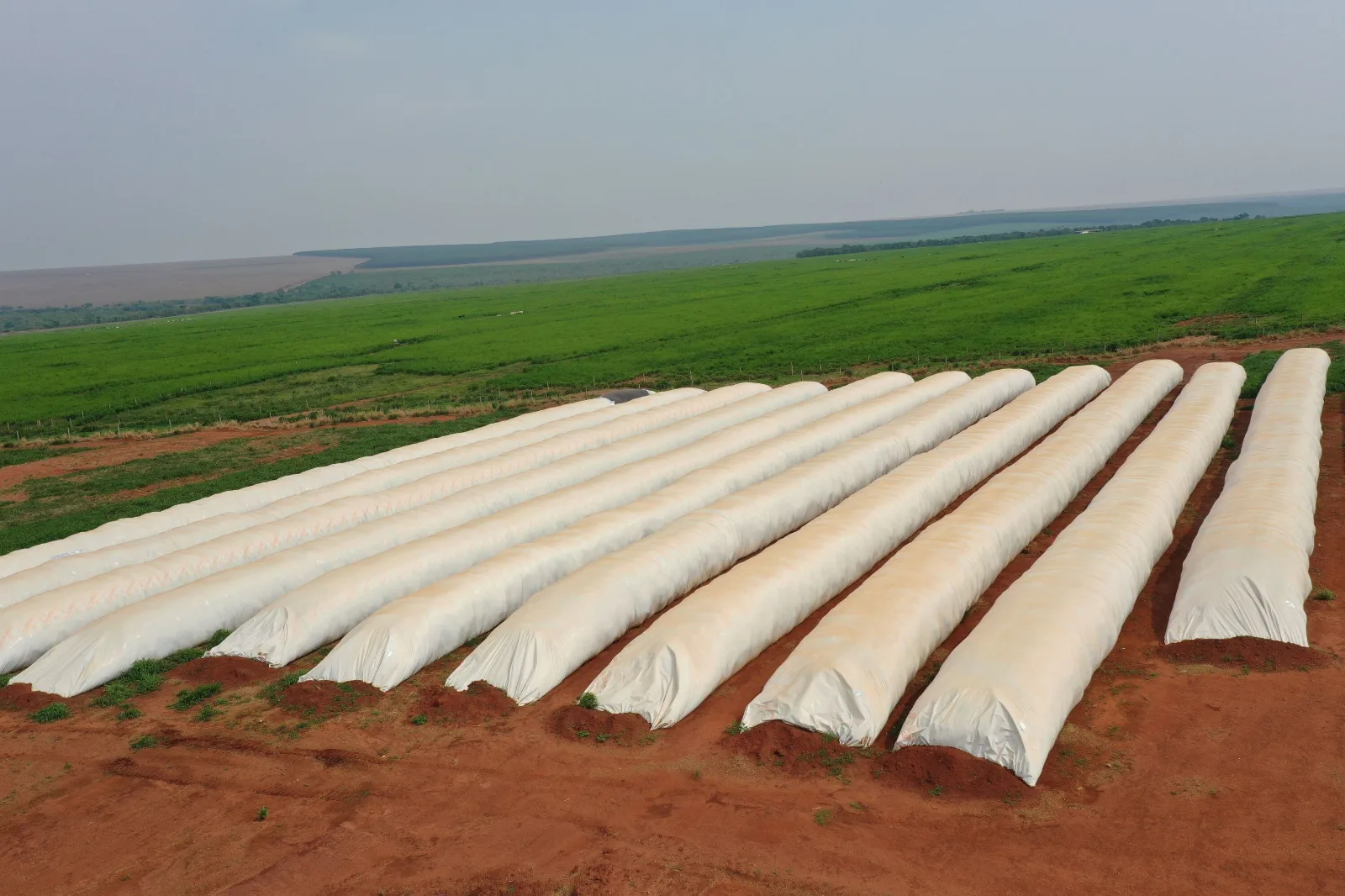 Granos de soja en un silo con gráfico de precios al alza en el fondo