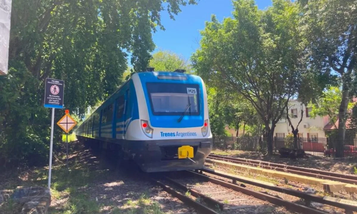 Interrupción del ramal Tigre de la línea Mitre: qué ramales se ven afectados el 24 y 25 de octubre