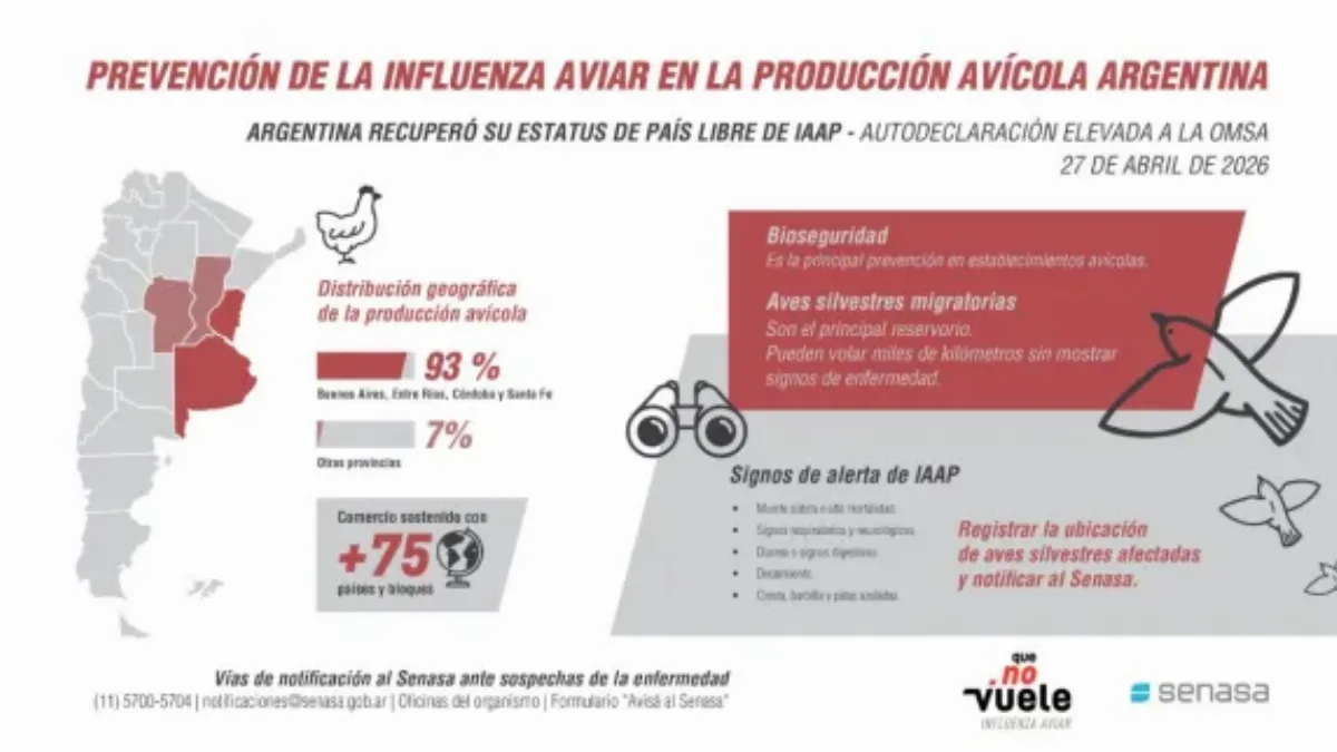Senasa detalló las claves para prevenir y monitorear la influenza aviar en Argentina