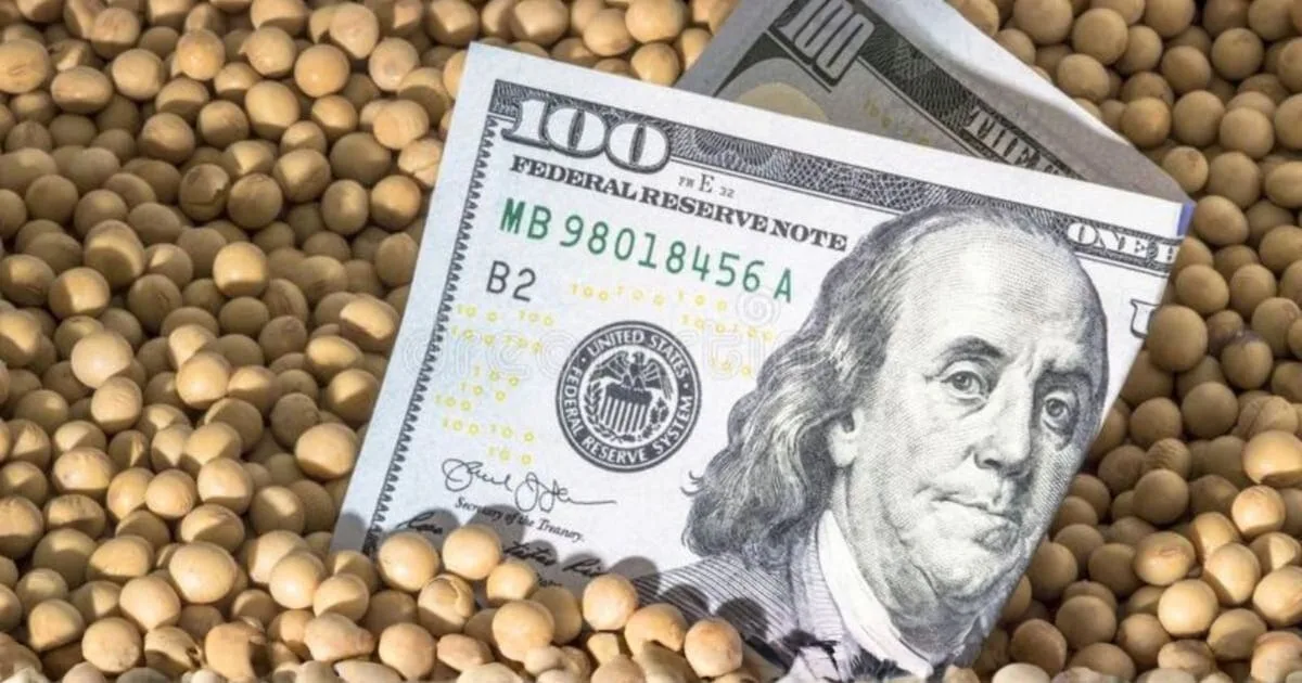 Soja, trigo, maíz y petróleo se disparan: la oportunidad que Argentina no puede dejar pasar
