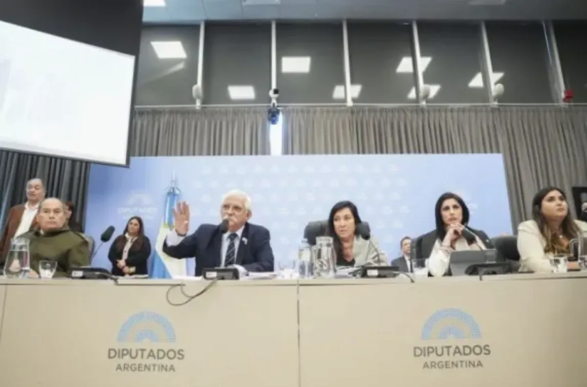 Se retoma en Diputados el debate por la Ley de Defensa a la Soberanía Nacional